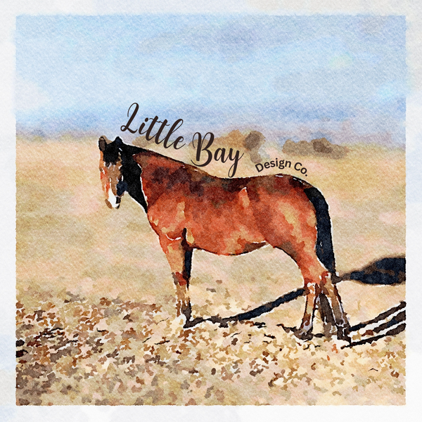 Little Bay Design Co.